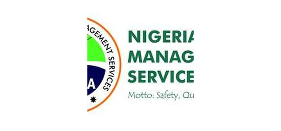 NEMSA logo